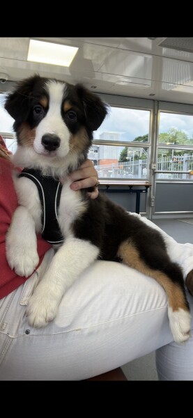 What is my name please?