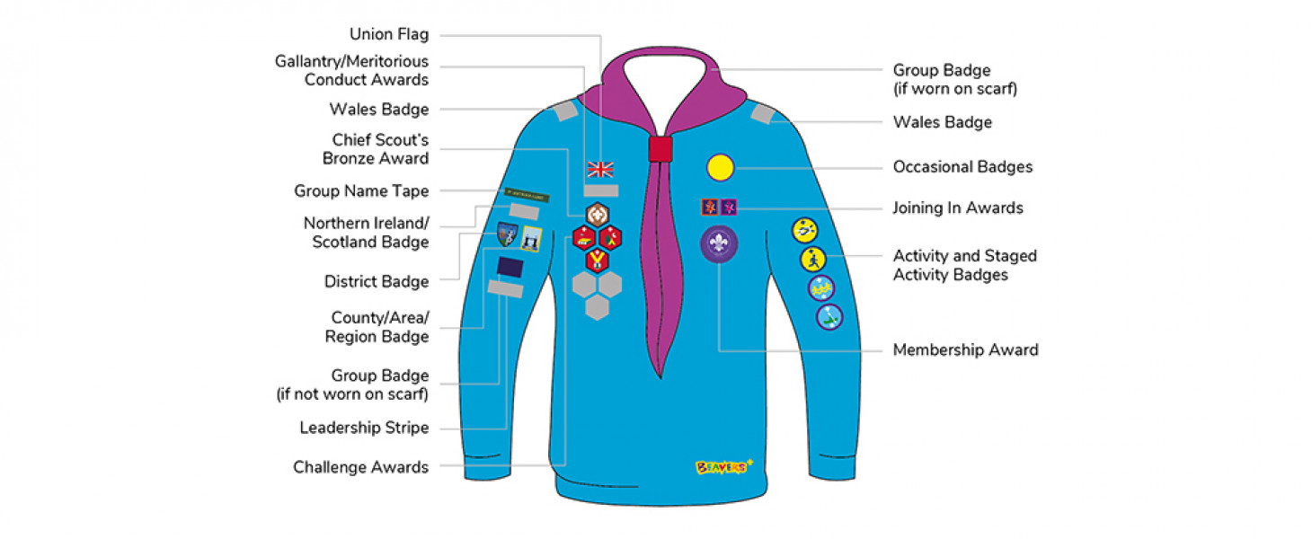 Beaver’s Platinum Jubilee badges