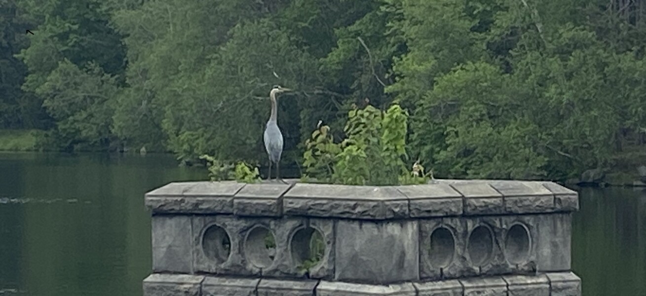 Come and tell me your dull and unexciting news 22: Calmly through the day