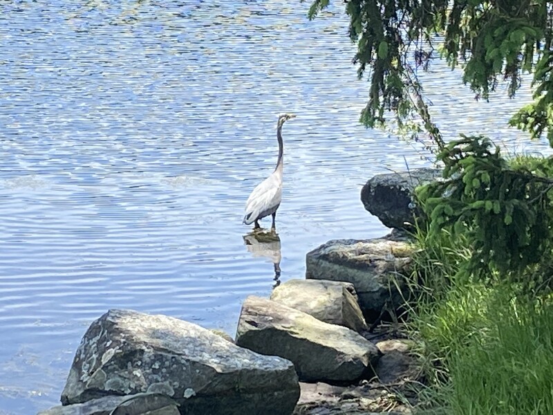 Come and tell me your dull and unexciting news 22: Calmly through the day