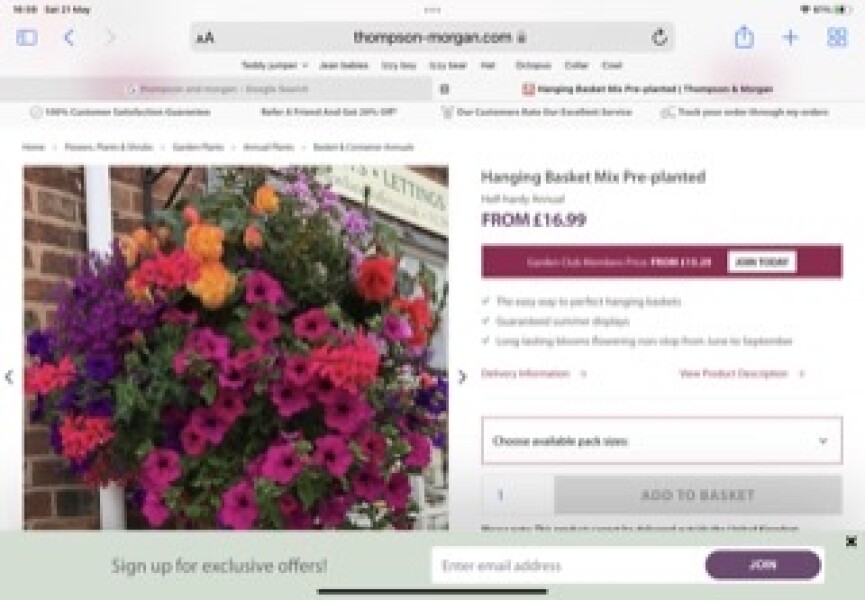 Ready planted planters