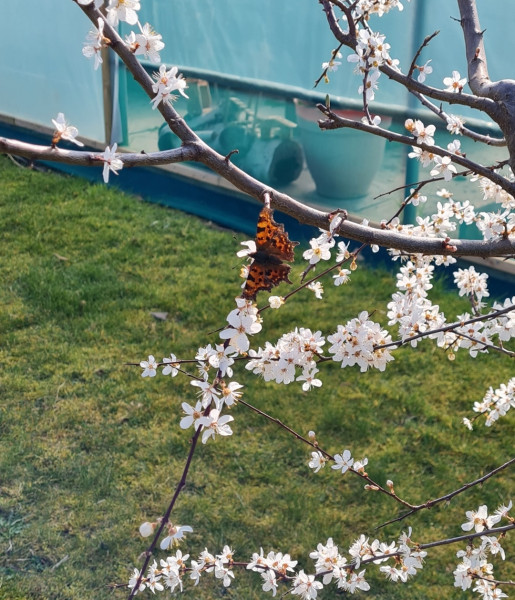 Pictures to cheer people up 😃