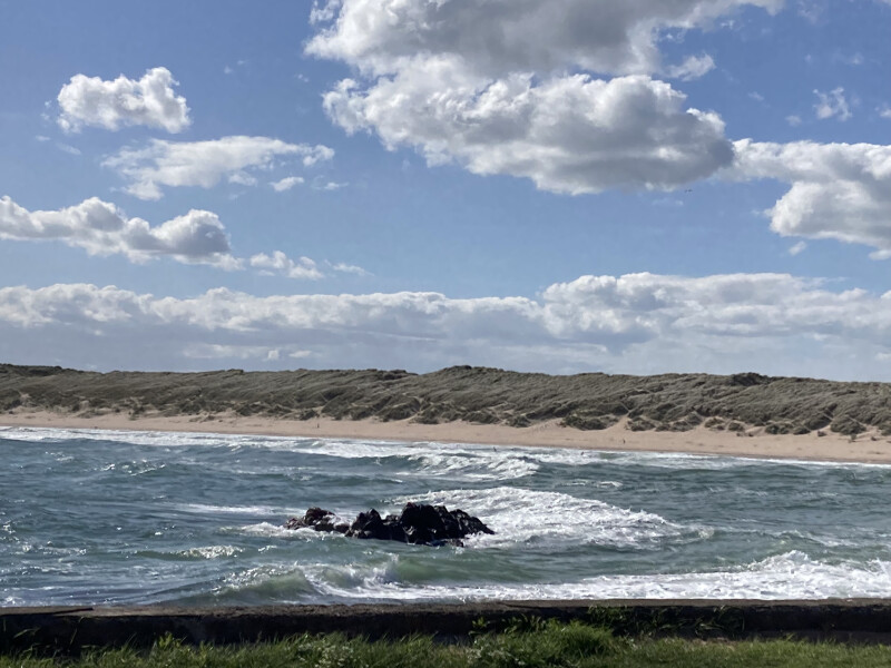 Come chat hiking with me!