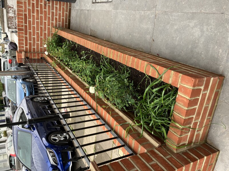 My front garden’s finished - but what shall I put in it?