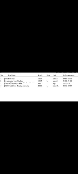 Iron results &  low b12