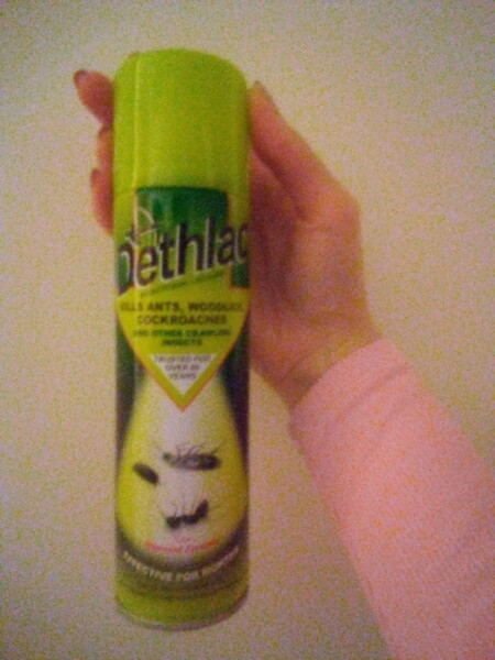 Help with council housing 