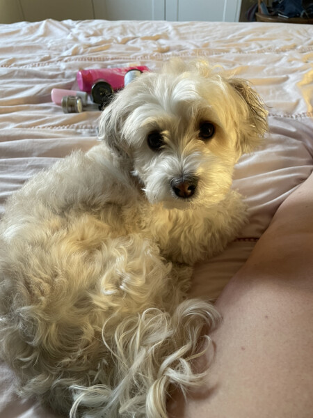 Are you addicted to beauty products? If so, please join - we are "Beauty addicts anonymous" 💜