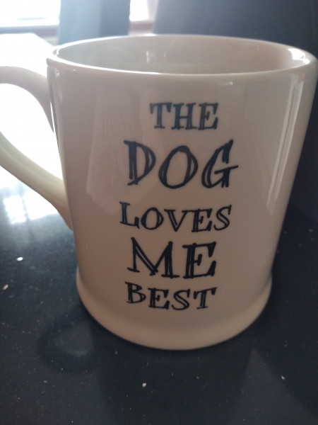 Is this grammatically correct please?