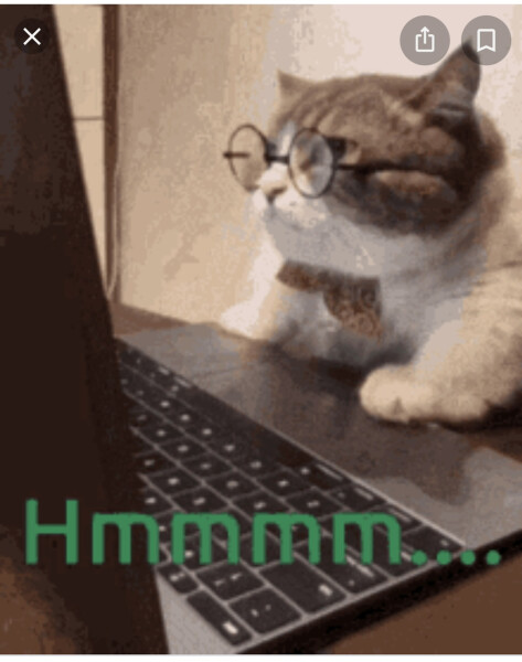 Allison Bailey v Stonewall - Employment Tribunal hearing Thread 9