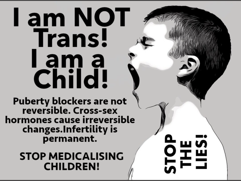 What scares you most about state of trans ideology