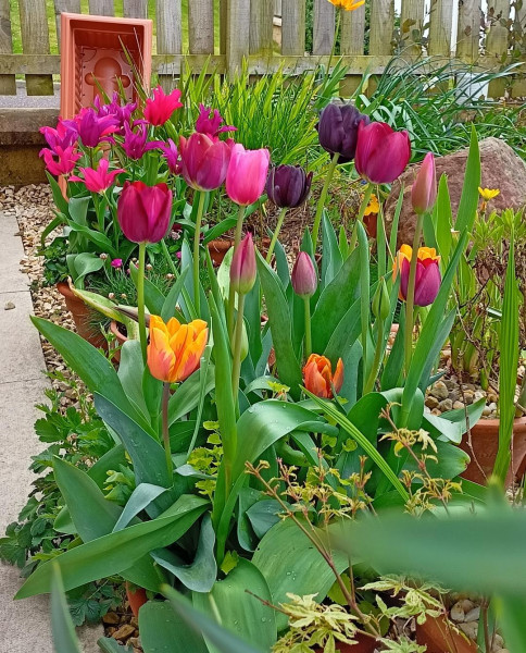 Pictures to cheer people up 😃