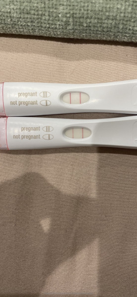 Due January 2023 ❤️