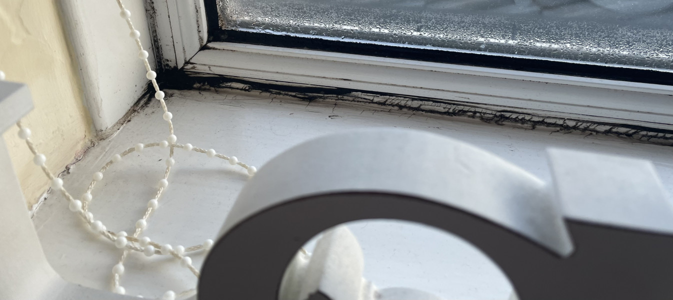 Can anyone help with windows (pics)