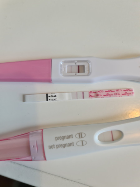 Due January 2023 ❤️