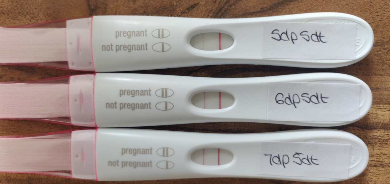IVF April/May 2022
