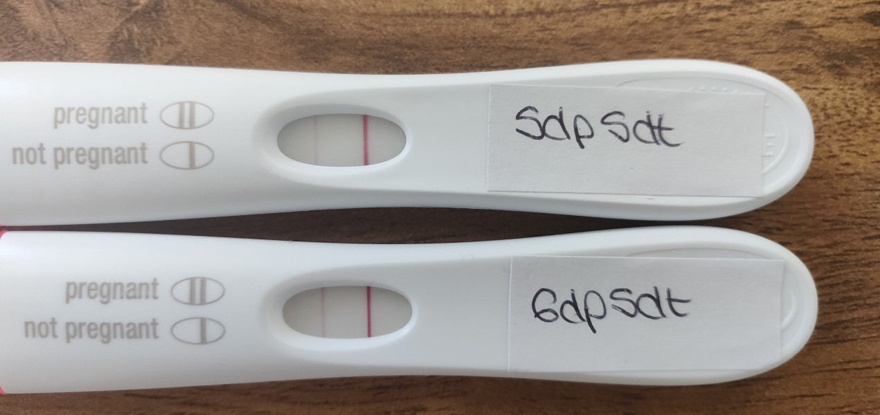 IUI 2022