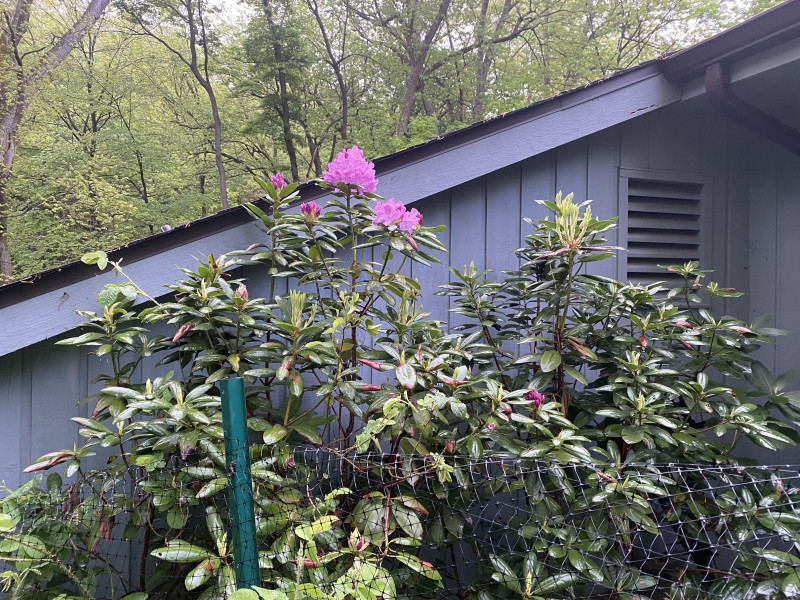 Come and tell me your dull and unexciting news 22: Calmly through the day