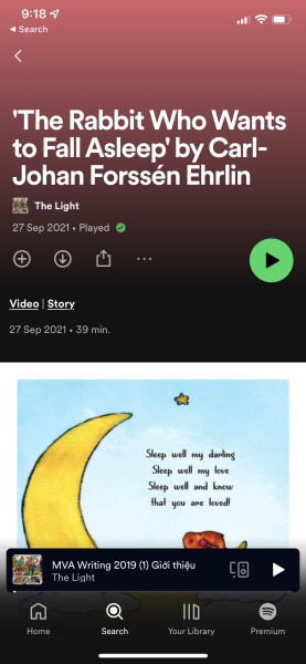 What the fuck am I supposed to do now?