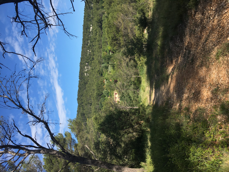 Come chat hiking with me!