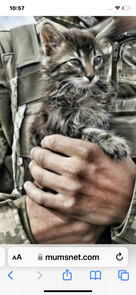 Ukraine Invasion: Part 24