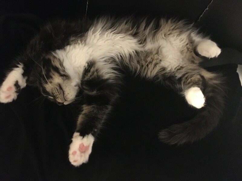 Cancer support thread #82