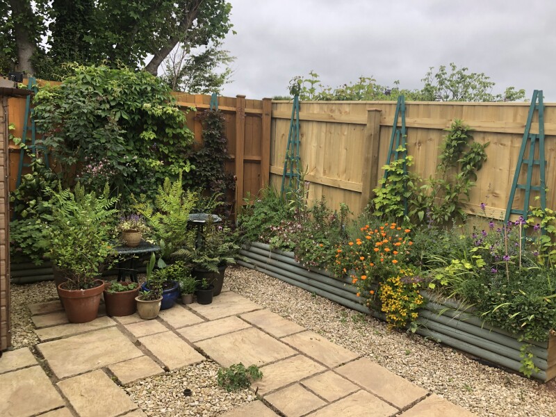 Suggestions needed - complete beginner