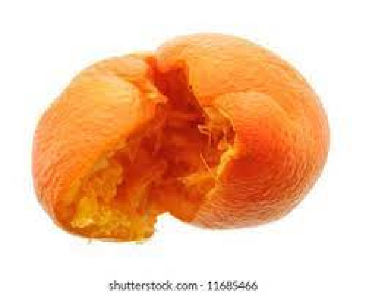 Allison Bailey v Stonewall - Employment Tribunal hearing Thread 6