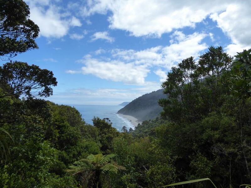 Come chat hiking with me!