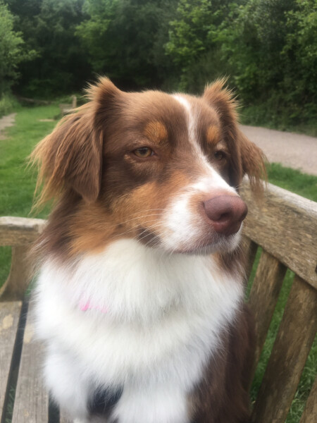 What is my name please?