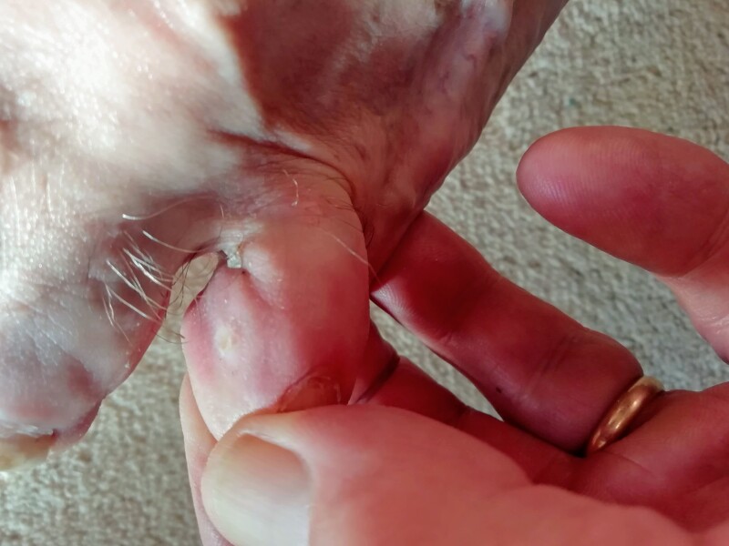 Anyone know what this might be "warning toe photo"