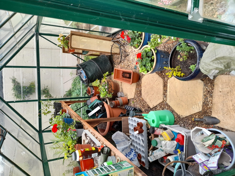 🪴The Greenhouse Corner 🪴