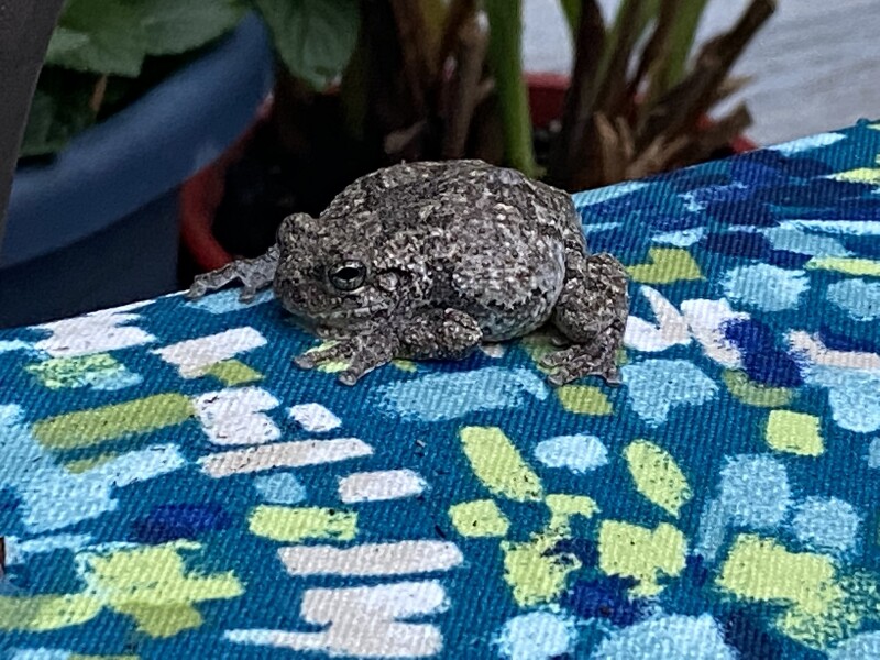 Come and tell me your dull and unexciting news 22: Calmly through the day