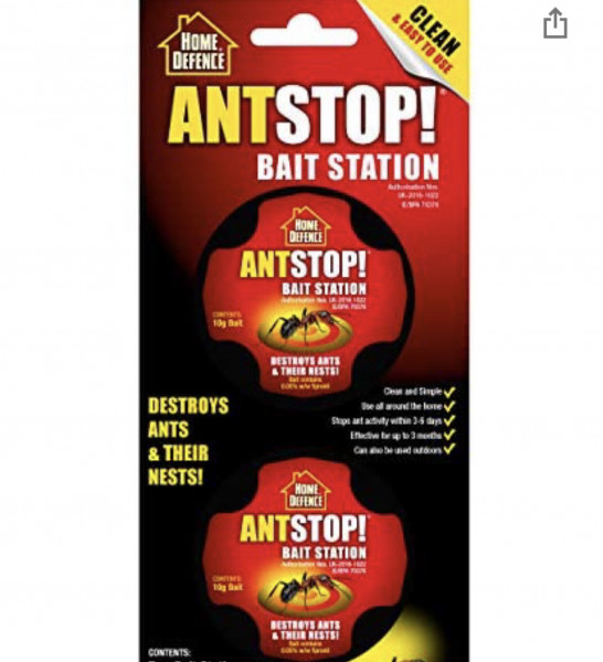 Ants!