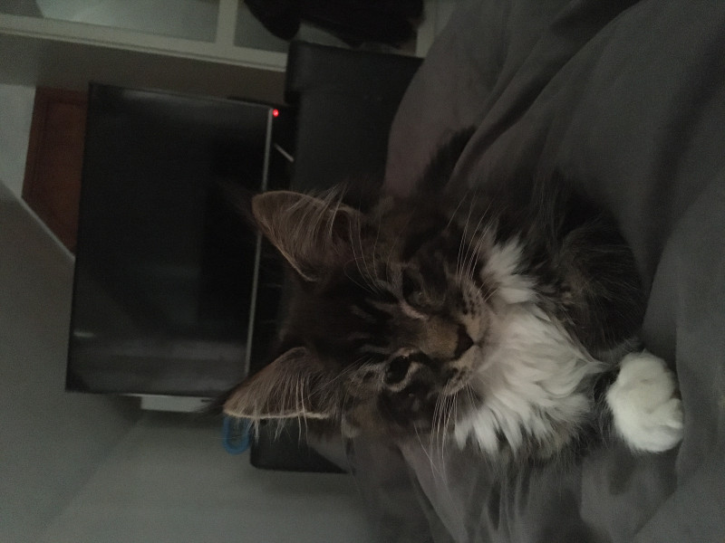 Come and tell me your dull and unexciting news 22: Calmly through the day