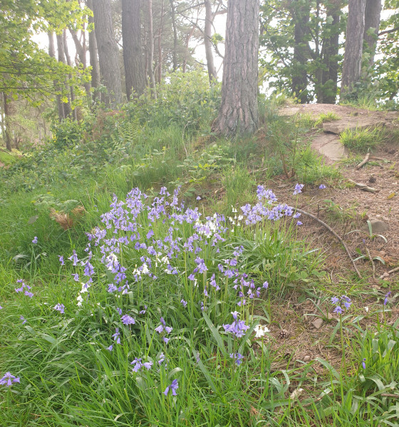 Come chat hiking with me!