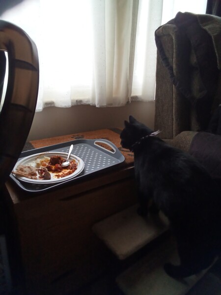 Allison Bailey v Stonewall - Employment Tribunal hearing Thread 13