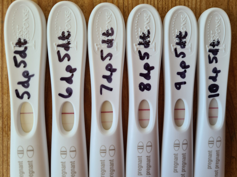 2 week wait..