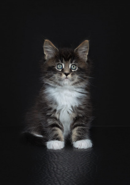 Cancer support thread #82