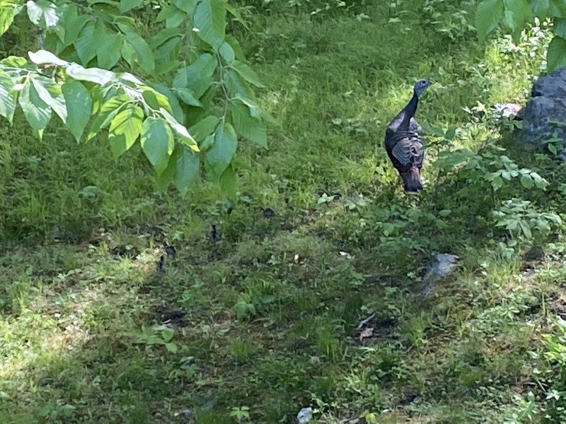 Come and tell me your dull and unexciting news 22: Calmly through the day