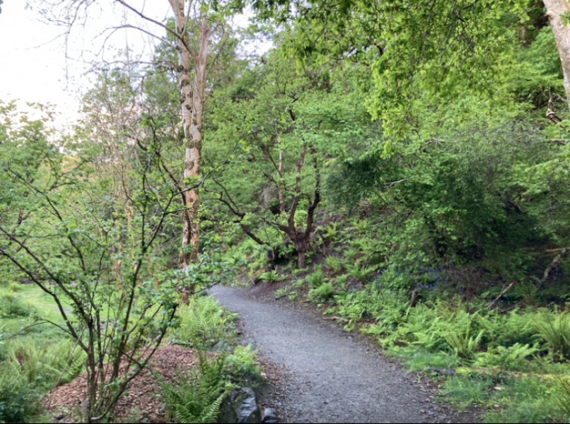 Come chat hiking with me!