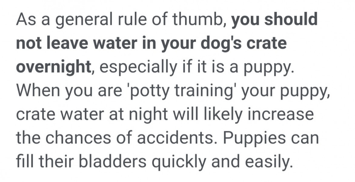 To take away water from puppy at night?