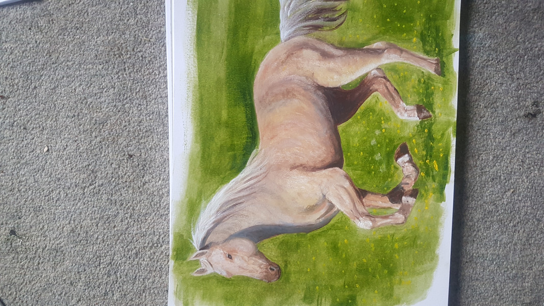 Allison Bailey v Stonewall - Employment Tribunal hearing Thread 7