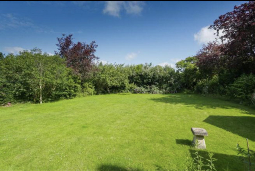I want trees round the edge like this, how?!  Anyone good at identifying trees/bushes?