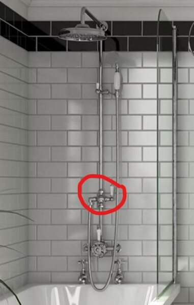 Paging @PigletJohn - shower issues