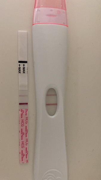 TTC with Letrozole/Clomid