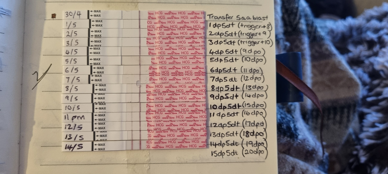 Line Eyes please. Is this OK for 6dp5dt (equivalent of 11dpo)