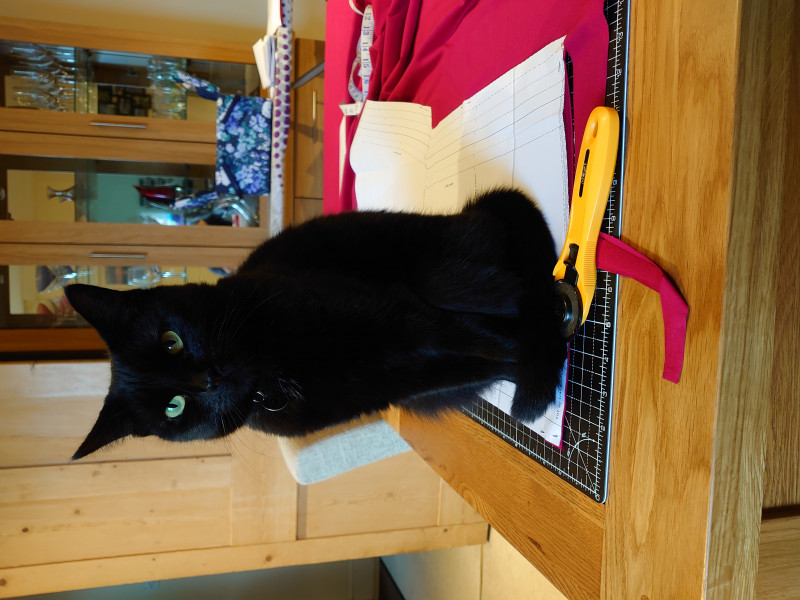 Stitch and bitch thread #4 I needle the help I can get.