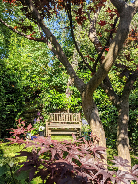 Artificial garden lawns - what a weird world