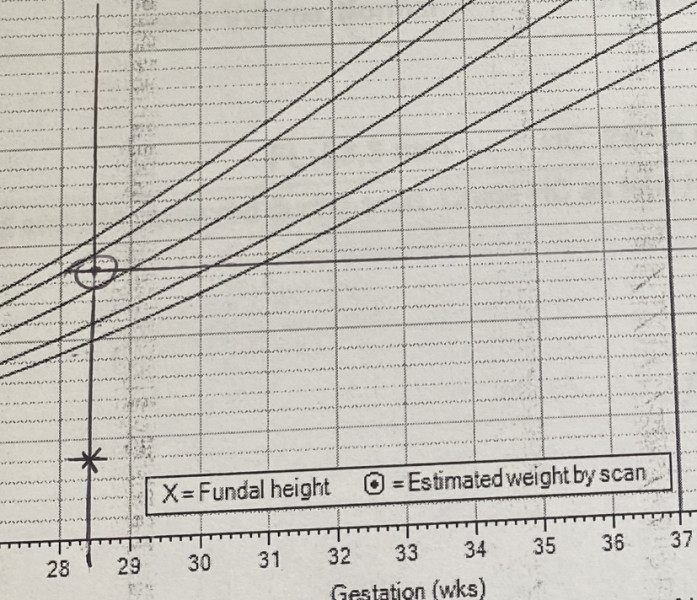 Due July 2022 (thread 5)