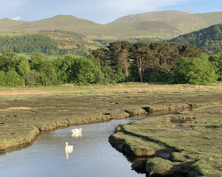 Come chat hiking with me!